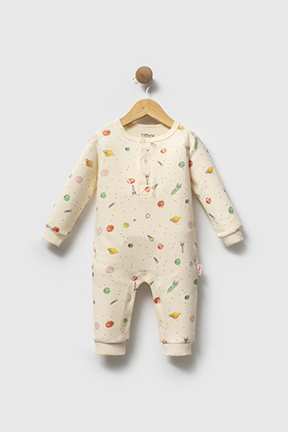 Organic Space Theme Tulum